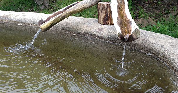 backpacking water purifier